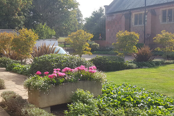 Garden Design in Epsom from Sunny Gardens